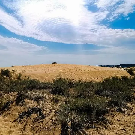 Golden Dunes プリモルスコ